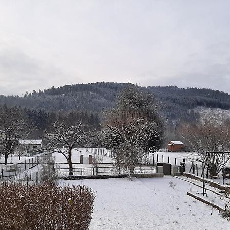 Chez Vovone 3 Etoiles Clevacances Saulxures-sur-Moselotte Exterior photo
