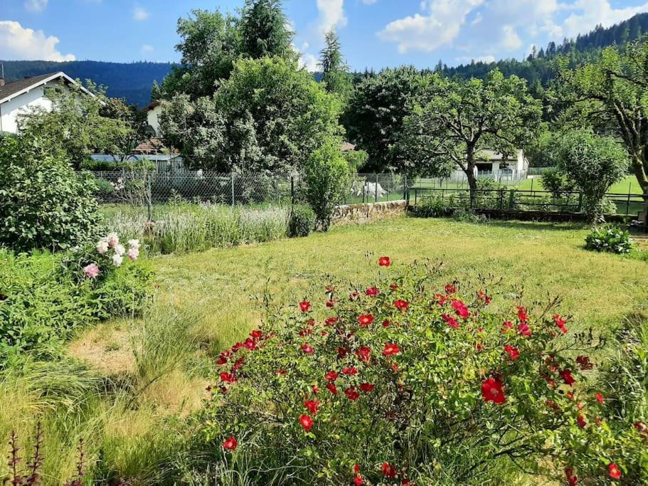Chez Vovone 3 Etoiles Clevacances Saulxures-sur-Moselotte Exterior photo