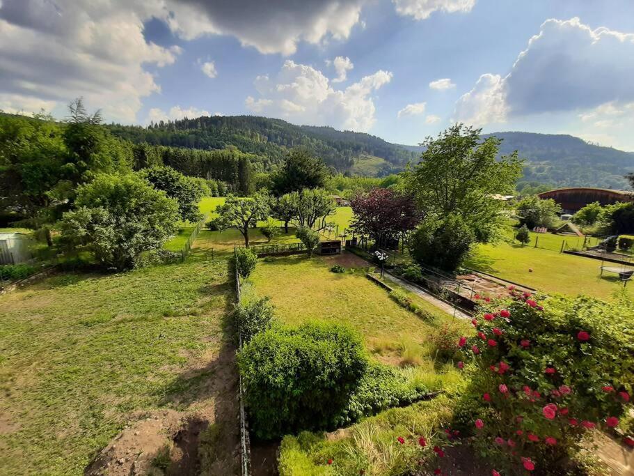 Chez Vovone 3 Etoiles Clevacances Saulxures-sur-Moselotte Exterior photo